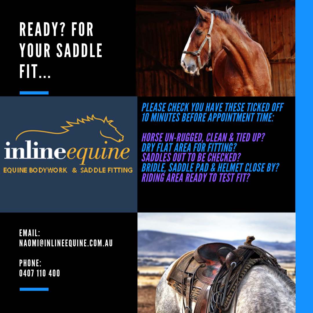 Items to check off before getting a saddle fit 